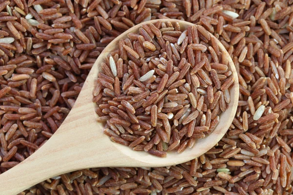 Organic brown rice in wooden spoon on pile grain rice.