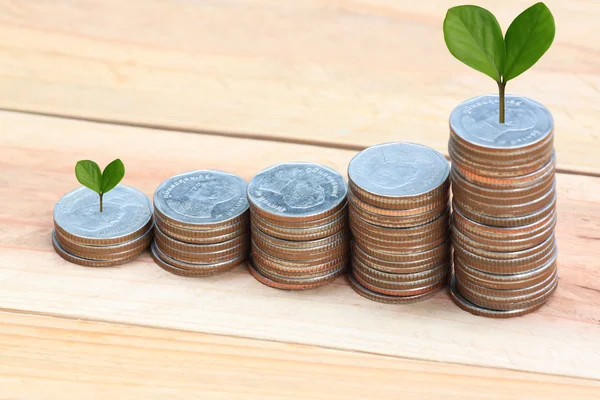 Young plant grown to stack silver coin in business growth concep