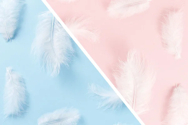Trendy pastel colors. Soft, fluffy white feathers on pastel background. Minimalism pattern