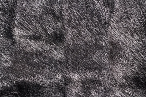 Natuoalny background - black fur ferret