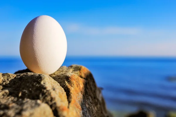 Egg on the coast