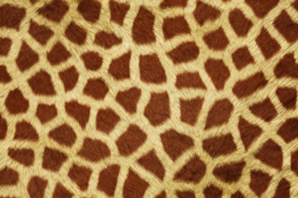 Fur Animal Textures, Girafe