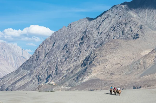 Caravan travellers riding camels in Nubra Valley