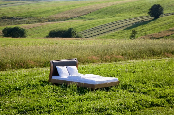 Bed in a grass field- concept of good sleep