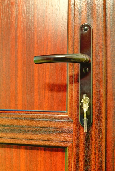 Modern wooden door with handle
