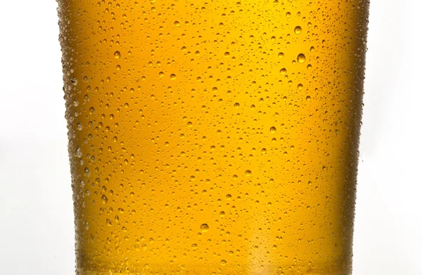 Beer isolated on white background