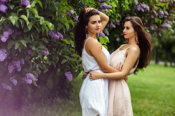 Two beautiful twins young women in summer dresses near blooming lilac