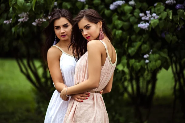 Two beautiful twins young women in summer dresses near blooming lilac