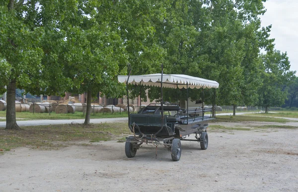 Not drawn black carriage on a Tuscan farmhouse