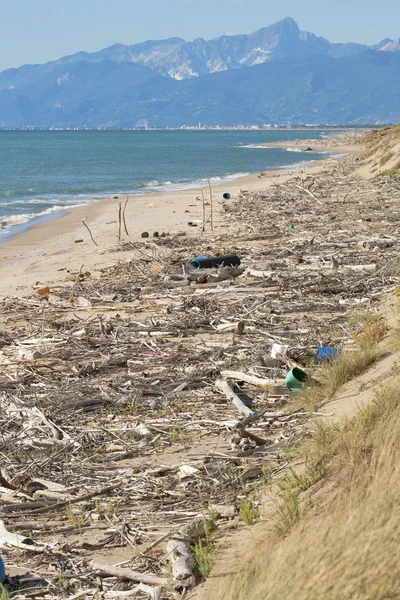 Global pollution. sea beach, Italy