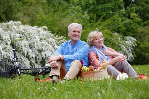 Couple  relaxing while having a  picnic