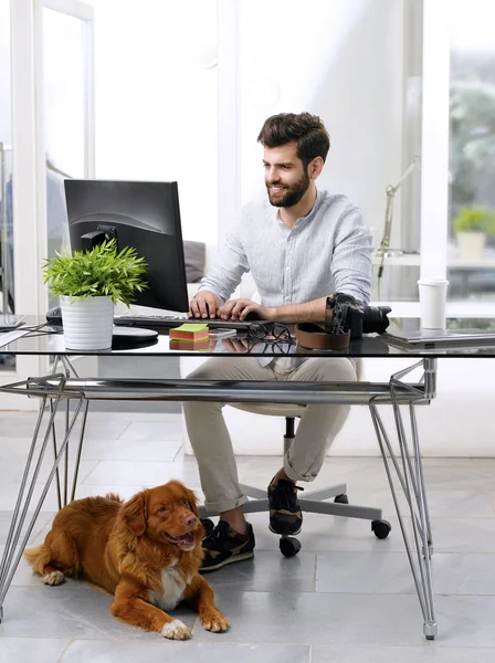 Art director working at pet-friendly workplace