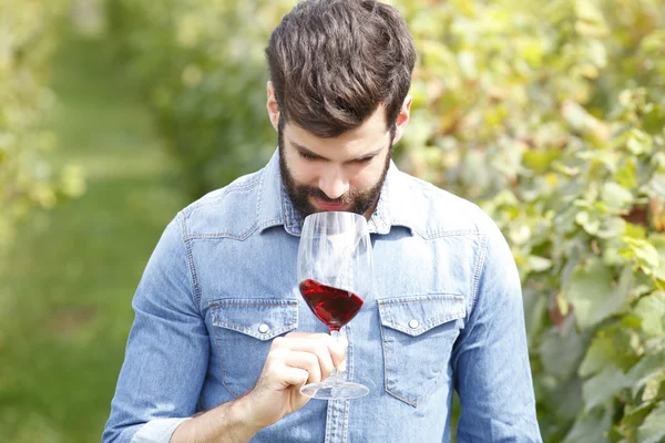 Winemaker at vineyard tasting glass of red wine