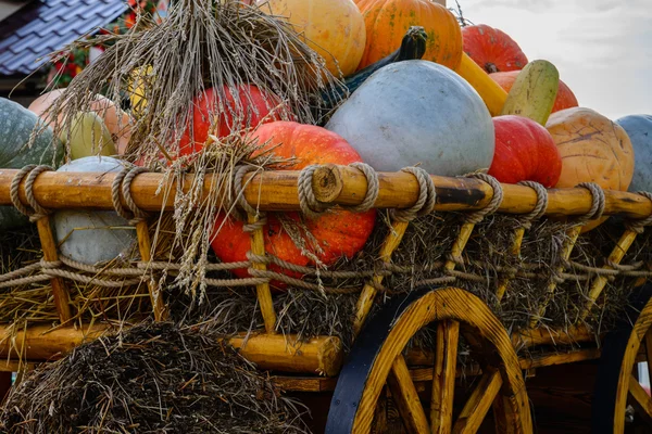 Autumn harvest festival. Wooden cart with autumn vegetables.