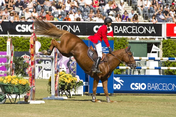 Horse jumping - Tomas Couve