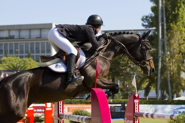 Horse jumping - Caitlin Ziegler