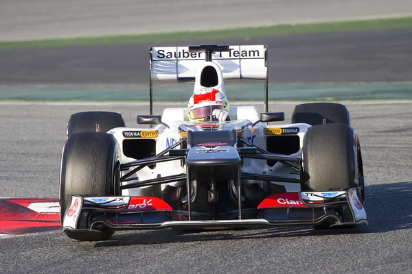 Sauber Formula One