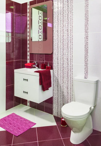 Luxury modern style decorated toilet with red tiles