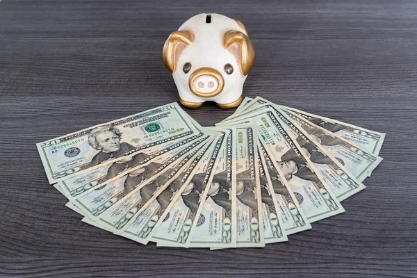 Piggy shaped money box with dollars