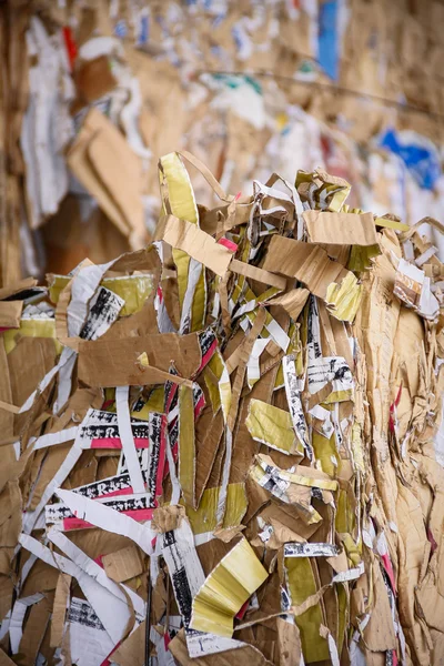 Waste recycling - Stock Image