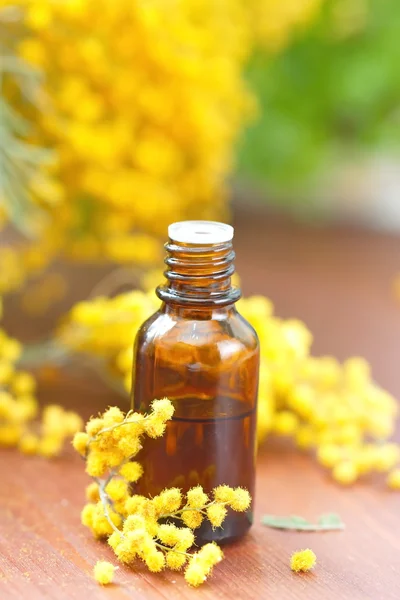 Mimosa essential aroma oil
