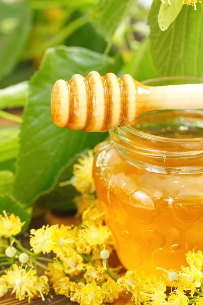 Linden honey in glass jar