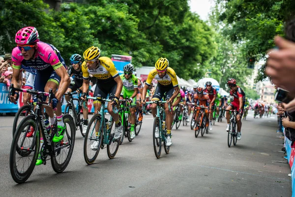 Milan, Italy 31 May  2015; Group of Professional Cyclists in Milan accelerate and prepare the final sprint