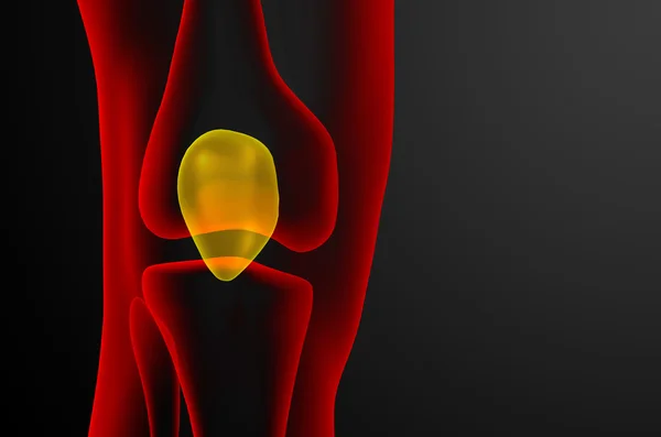 3d render medical illustration of the patella bone