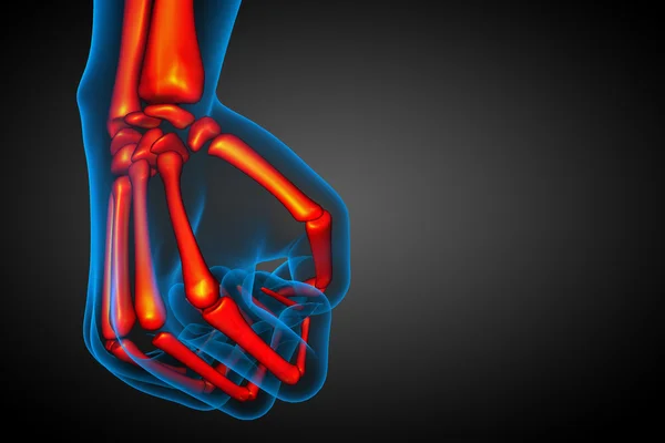 3d render medical illustration of the hand bone
