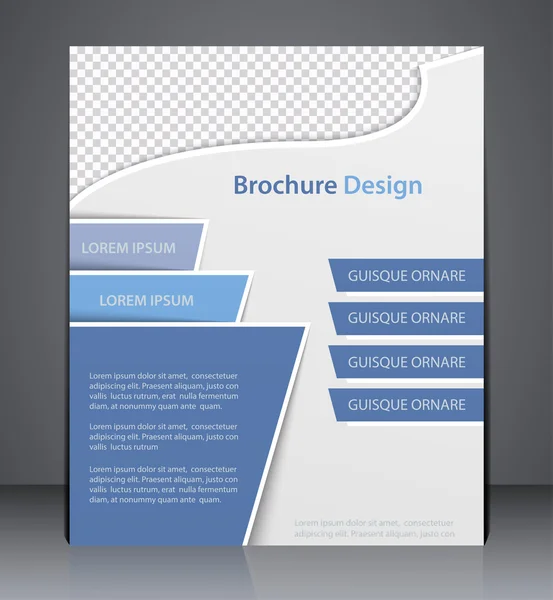 Vector Layout  Brochure, Flyer Design Template, Web, or Magazine