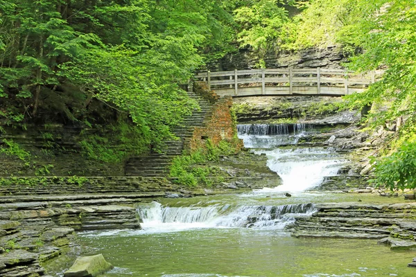 Scenic in Stony Brook SP