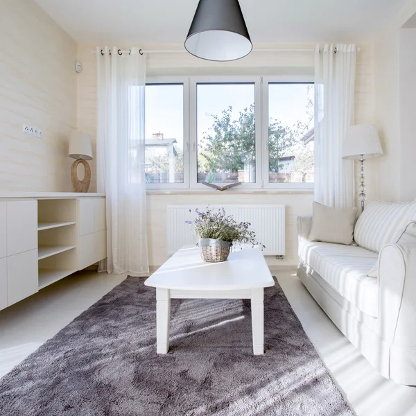 Bright, modern living room with dark carpet