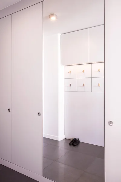 Big outlet closet mirror