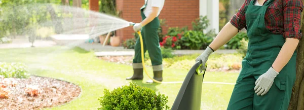 Perfect garden in progress