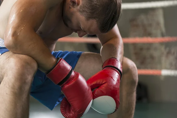 Boxer in the corner