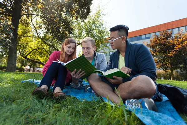 Learning on a blanket