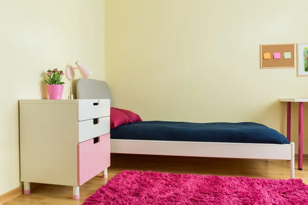 Cute room with pink carpet