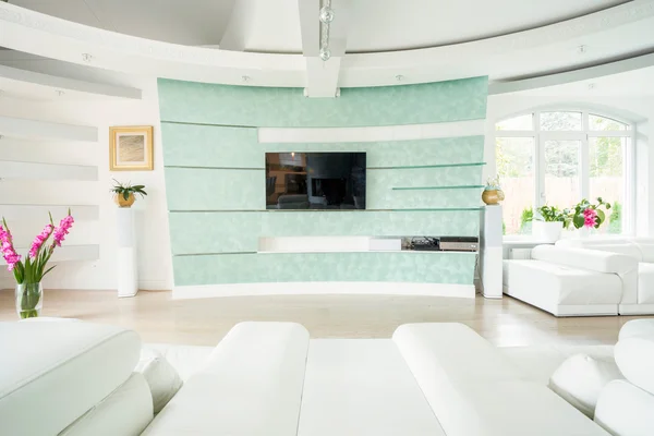 Plasma TV in elegant luxury interior