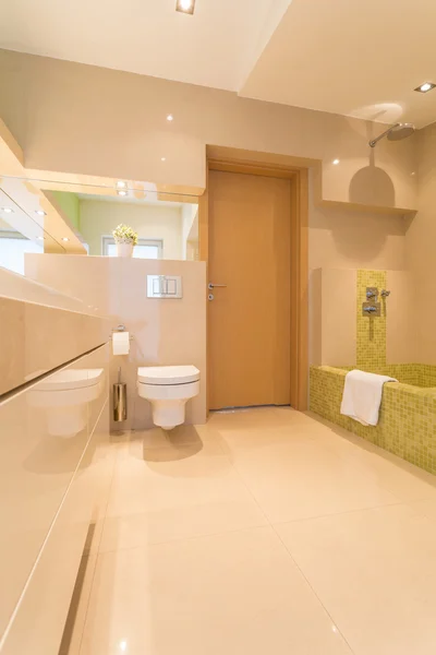 Luxury bathroom in large residence