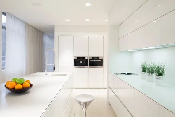 Exclusive white kitchen interior