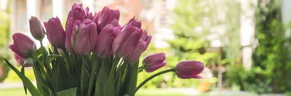 Violet tulips bouquet