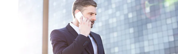Business worker on the phone