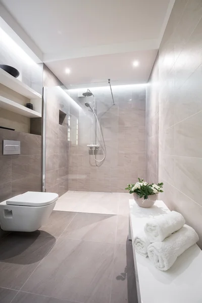 Modern luxurious bathroom interior
