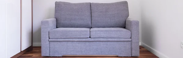 Simple comfortable double sofa