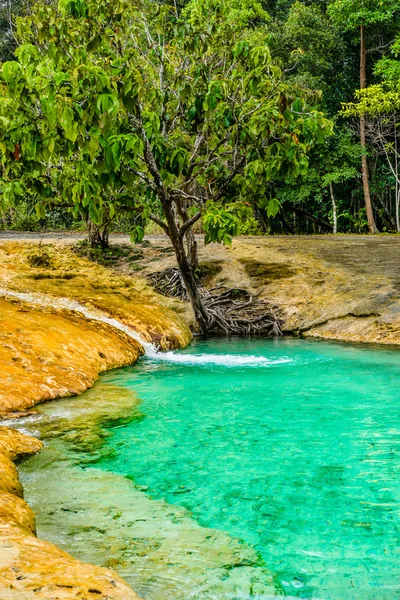 Emerald Pool aka Sa Morakot, Khao Pra Bang Khram Wildlife Sanctuary, Krabi, Thailand. National Park, Krabi, Thailand, tourist destination. Green color tropical lake, Southeast Asia