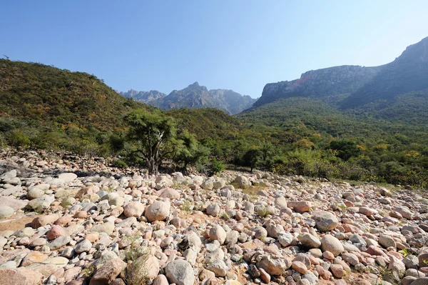 Dry riverbed in canyon of Socotra island, Yemen