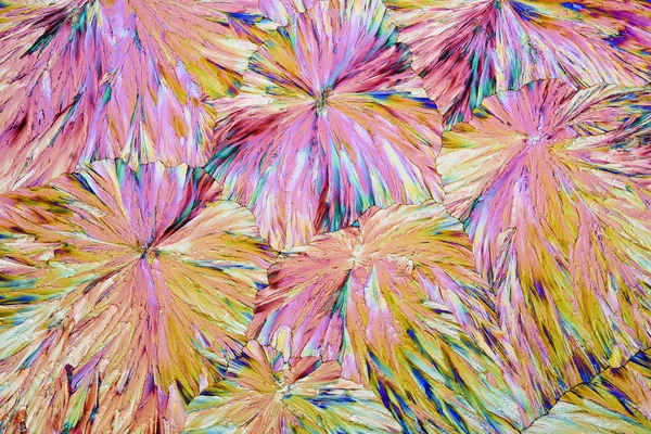 Micro Crystals in polarized Light