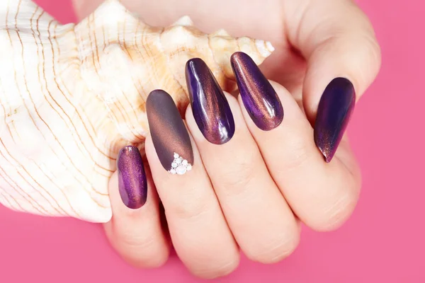 Hand with long artificial manicured nails and seashell