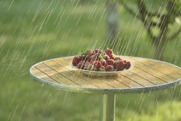 Summer rain and strawberries
