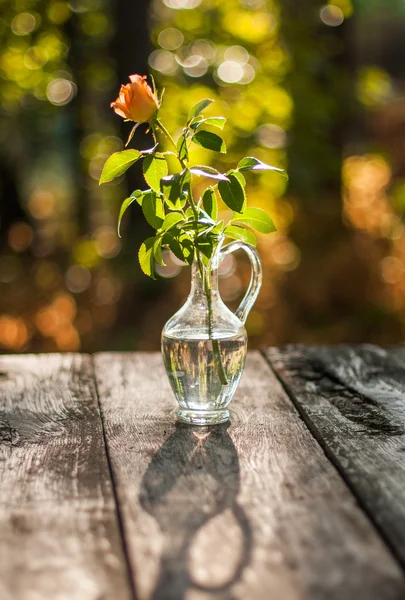 Single rose in the glass vase on the wood table with green background